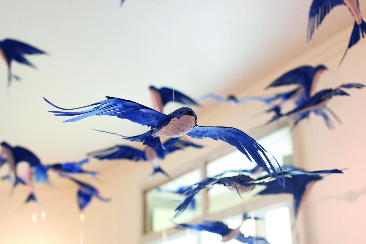 ©Bertrand Martineau