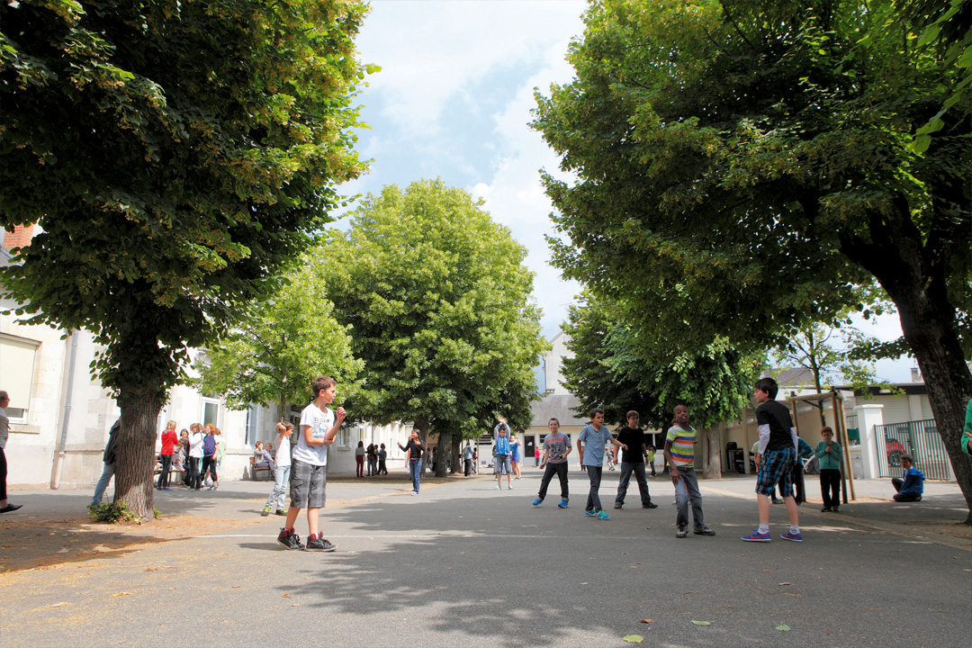 Plan Écoles 2020-2030 à Olivet