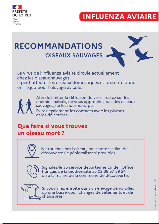 Recommandations préfecture