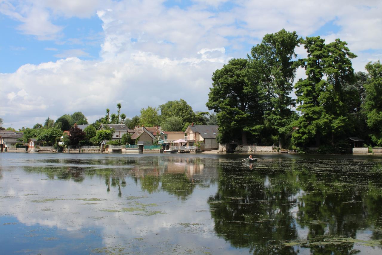 Bords du Loiret à Olivet