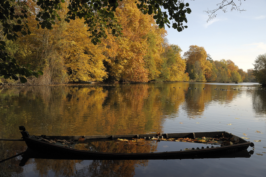 Bords du Loiret à Olivet