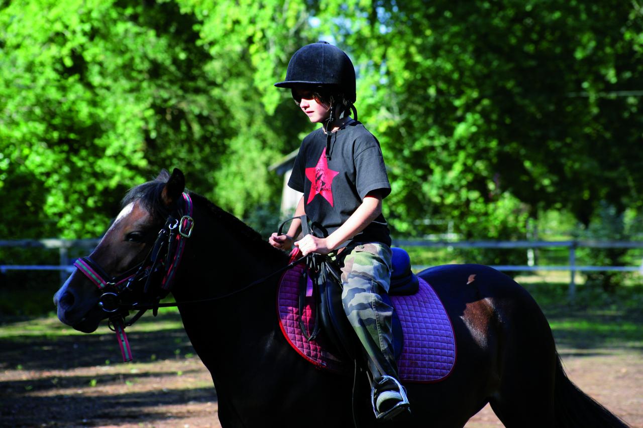 Équitation