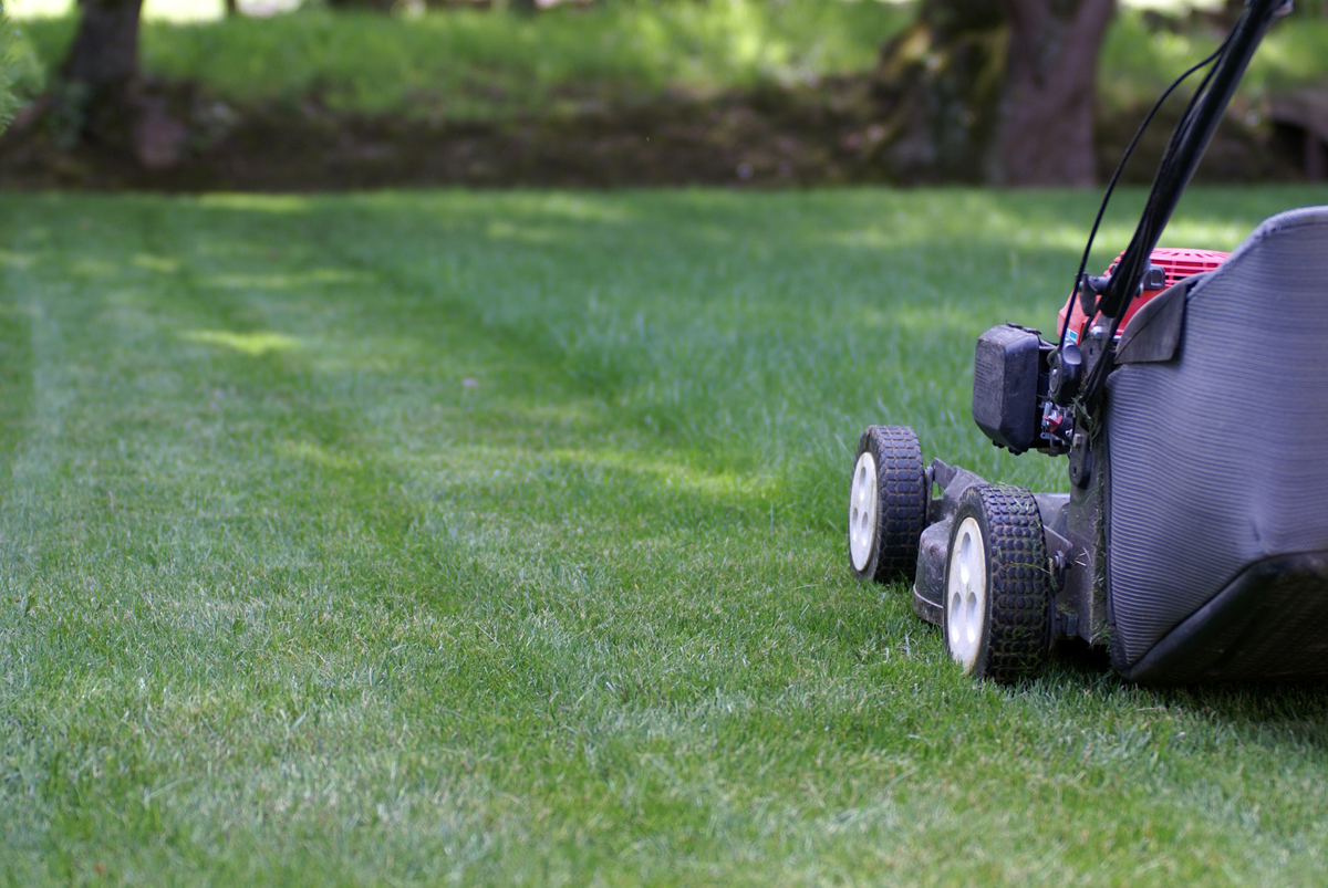 Travaux de jardinage