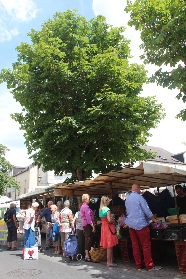 Marché à Olivet