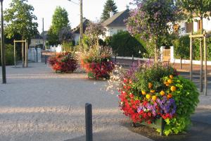 pots de fleurs colorées dans une rue