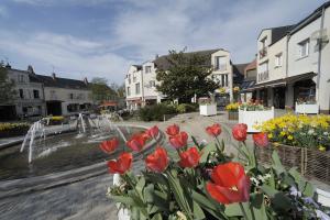 place Louis Sallé