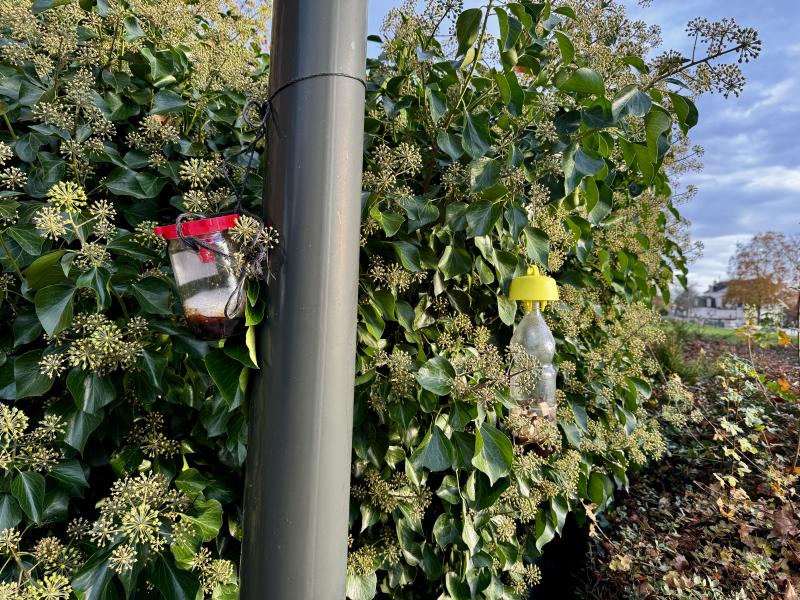 Photo 1 -  voir en plus grand (fenêtre modale)