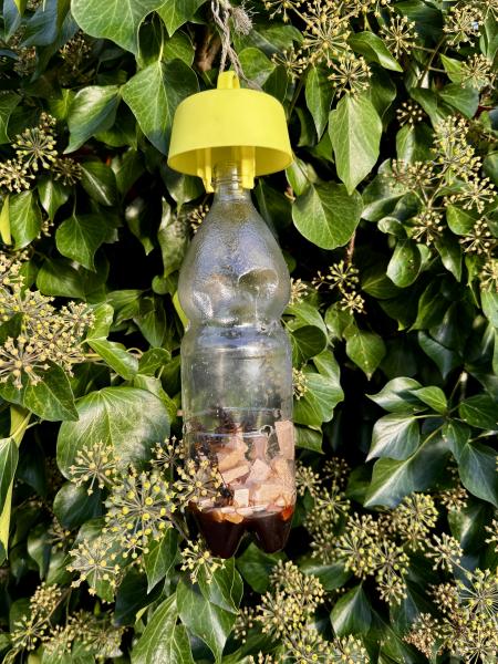 Photo 5 -  voir en plus grand (fenêtre modale)