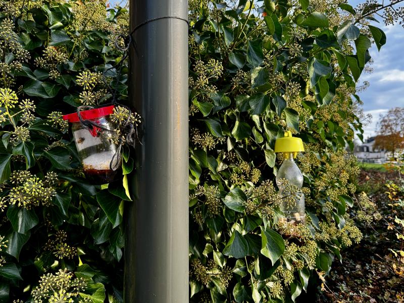 Photo 6 -  voir en plus grand (fenêtre modale)