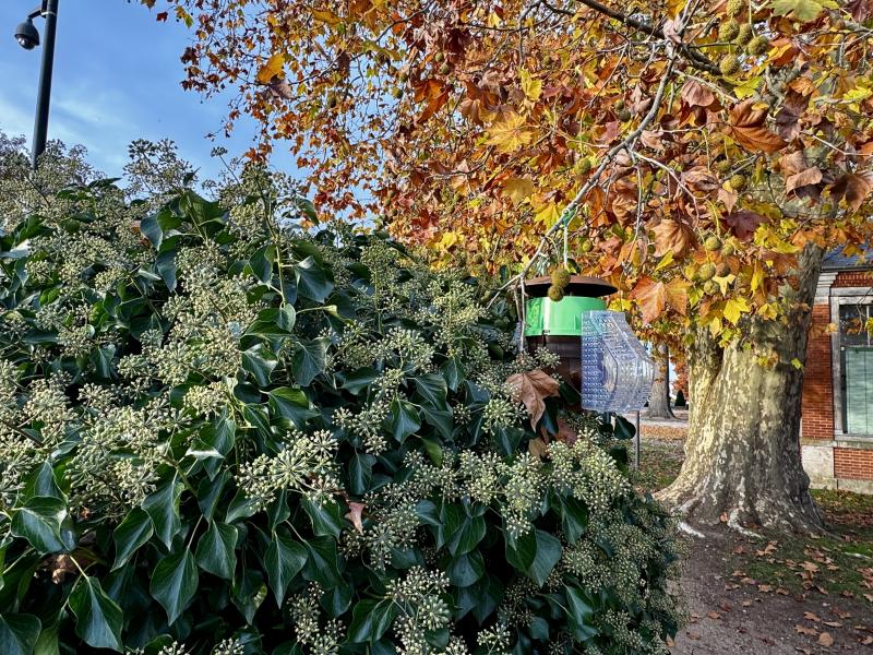 Photo 2 -  voir en plus grand (fenêtre modale)