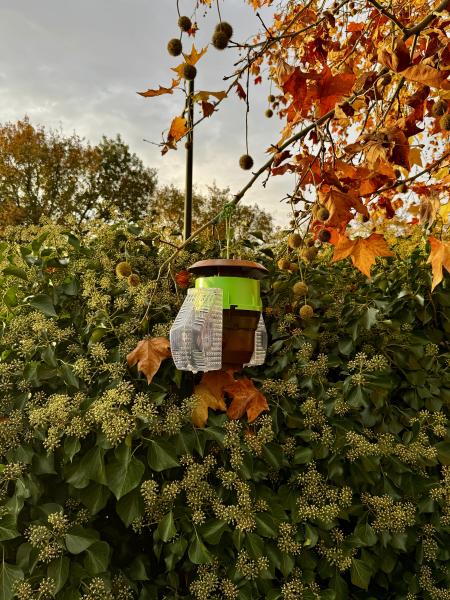 Photo 4 -  voir en plus grand (fenêtre modale)