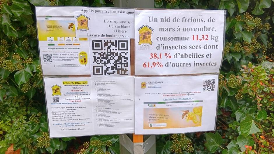 Photo 11 -  voir en plus grand (fenêtre modale)