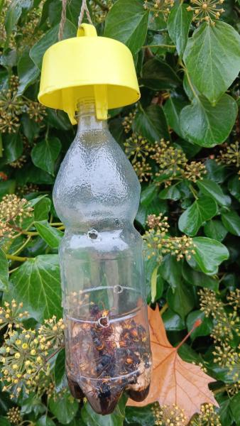 Photo 7 -  voir en plus grand (fenêtre modale)