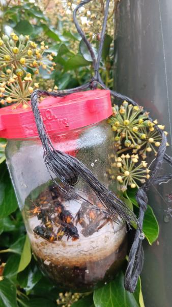 Photo 8 -  voir en plus grand (fenêtre modale)