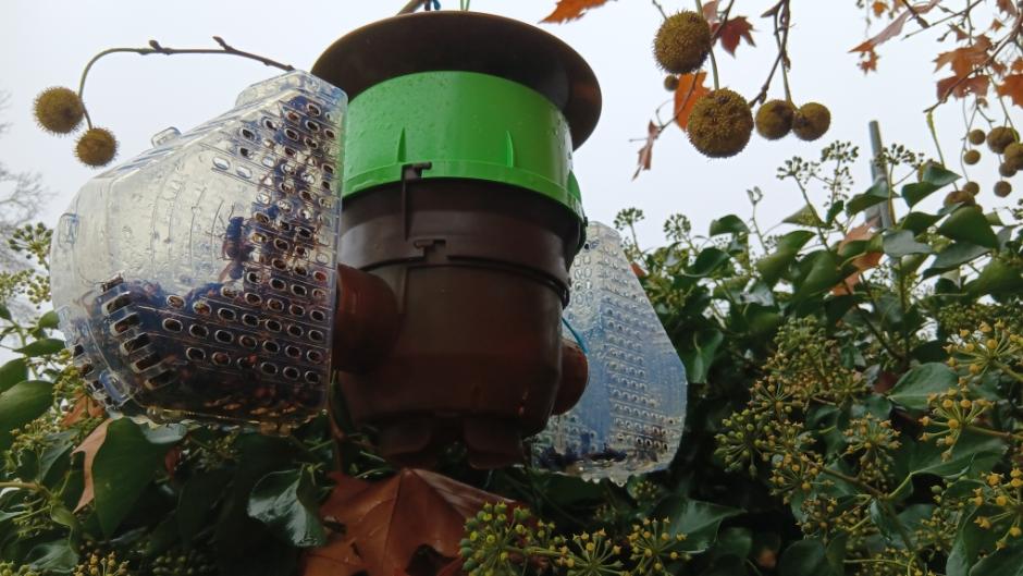 Photo 9 -  voir en plus grand (fenêtre modale)