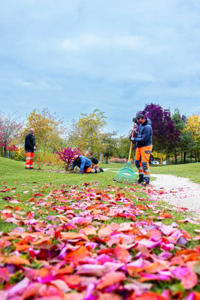 Photo 6 -  voir en plus grand (fenêtre modale)