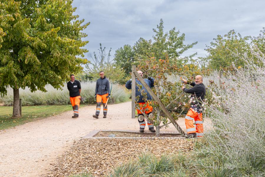 Photo 1 -  voir en plus grand (fenêtre modale)