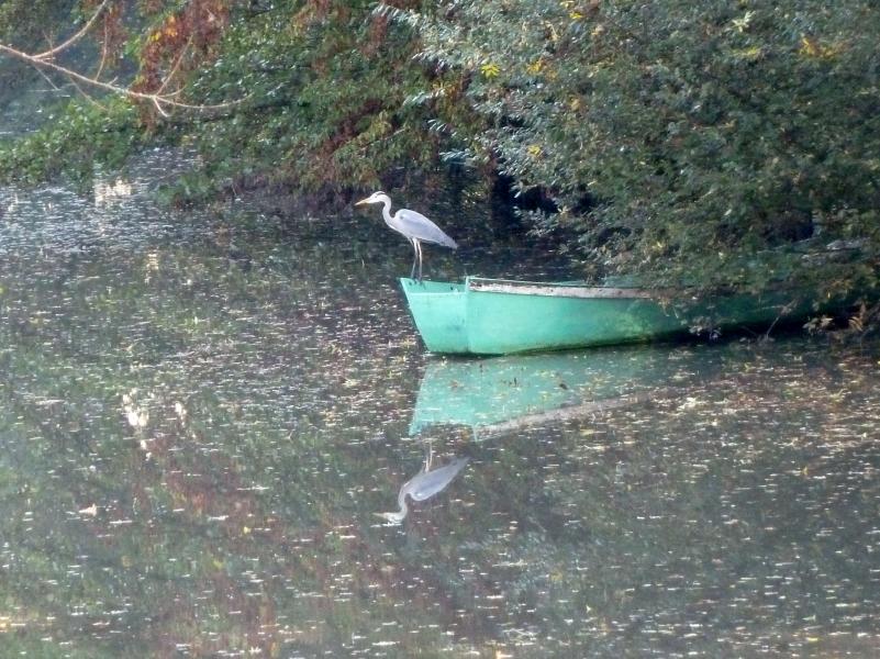 Photo 3 -  voir en plus grand (fenêtre modale)